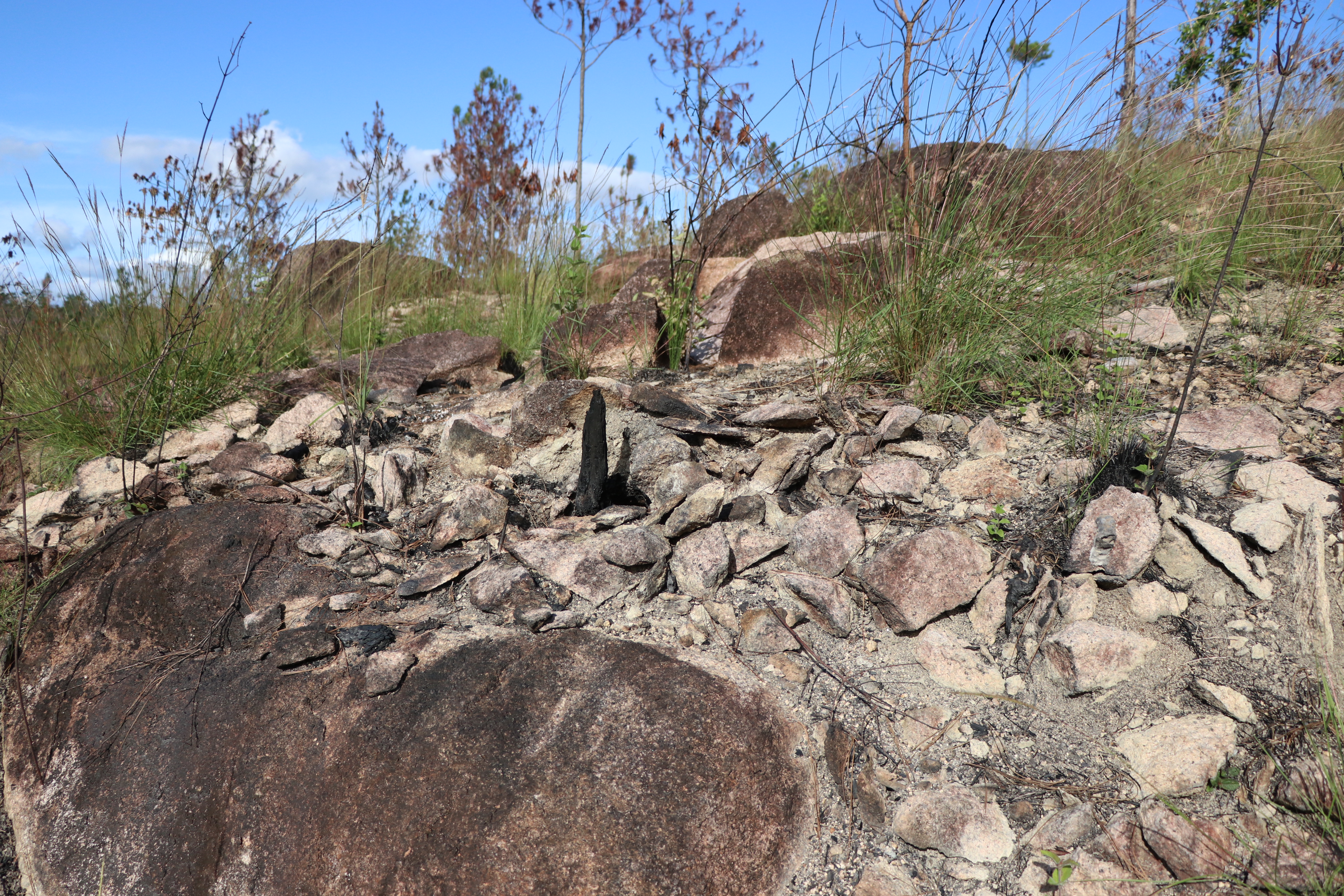 A rock outcrop